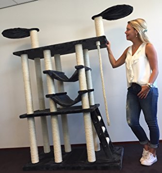 arbre a chat geant maine coon